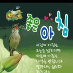 판/인티/디시/트위터 네가지 다 하니까 <b>멘탈</b> ㄹㅇㄹㅇ 초강력<b>멘탈</b> 됐다...