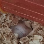 [댓글부탁해] <b>entj</b> 너무 부러워