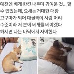 [드루와] ㅅㅂ새학기 반 개<b>어색</b>할듯