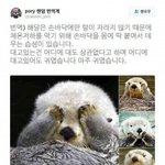 [드루와] ㅅㅂ망햇다 나 <b>반</b>에 아는애 <b>한</b>명도없는디