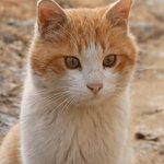 나 어렸을 <b>때</b> <b>눈</b> 컸네,,