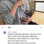 [드루와] <b>이시각</b> 재평가되는 댓글