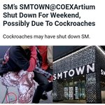 [모두드루와] 에셈 바퀴<b>벌레</b> 때문에 당분간 문 닫는대