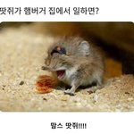 [댓글부탁해] 우리 <b>개학</b> 더 연기될 거 같지 않냐