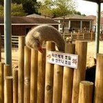 [드루와] mbti 극성<b>T</b> 인 애랑 친군데