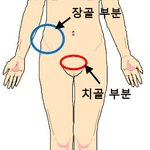 [어이없노] 게이 욕 작작해 이<b>뇬들</b>아..!!!