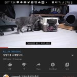 아리랑 <b>채널</b>은 믿을만하지