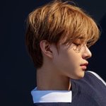 코 조카높다
