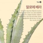 [드루와] 솔직히 21<b>세기</b>라서 한남