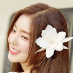 이 다섯명이 <b>한그룹</b>
