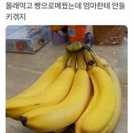 [드루와] 이성이랑 힘차이 느낀 썰 풀고가자