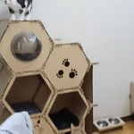 [댓글부탁해] 갑수목장 이것좀 봐줄래???