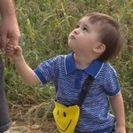[드루와] 얘들아 나만 벤<b>토리</b> ㅈㄴ 좋아하냐