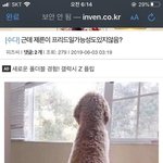 [댓글부탁해] 아.. 네이트판 먹기 대실패 퇴갤한다