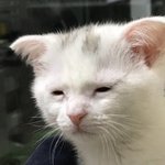 [드루와] 나 화장실에서 <b>기절</b>함ㅋㅋㅋㅋㅋㅋ