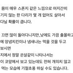 돈벌레 <b>설명</b>한거봐 조카 역겹다