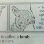 <b>설레</b>는 썰좀 주작이라도