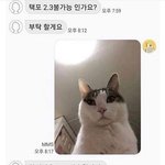 [댓글부탁해] 아니 나 아싸 안 되는 게 이상하네