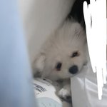아 이게 욕1처먹을일이냐??