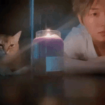 [강다니엘] [daniel.k.<b>here</b>] small campfire