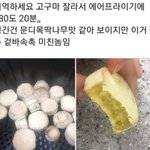 [드루와] <b>집순</b>이들 다 드루와
