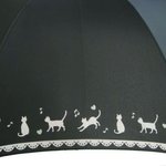 [드루와] 비오는데 찐따들 우산 특징. <b>fact</b> 트위터함