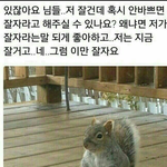 [댓글부탁해] 얘들아 근데 45키로에 25인치면 <b>통짜</b> 맞지?