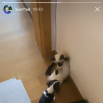 [NCT] 아 진짜 너무 귀여워