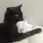 헤이 모두 <b>스탑</b>잇