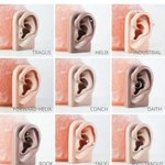 야야 애들아 외국은 왜 귓바퀴가 없고 헬<b>릭스</b>냐