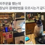 [드루와] 나 <b>고민</b> <b>개</b>잘들어주는데 <b>고민</b> 말해바
