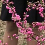 다리 알 좀 봐봐
