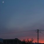 [댓글부탁해] <b>차들</b>이 쌩 달리는 도로에 몸을 던지고 싶었던 적 많아