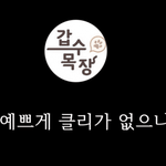 [19] 갑수목장 이거 고양이 <b>상대</b>로 뭐라는거야