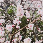 [19] <b>확찐자</b>라는말 성희롱인거 앎?