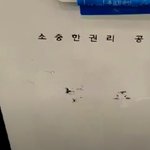 [이것좀봐줘] ++민경욱기자회견추가)필독)우리가 개돼지야?
