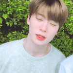 [NCT] 앨범 있잖아