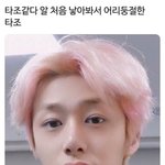 [드루와] 아니 나만 이거 웃기냨ㅋㅋㅋㅋㅋㅋㅋㅋㅋㅋㅋㅋ