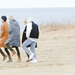 [세븐틴] 개<b>롯</b>들