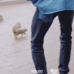 마크가 다람쥐와 인사하는 법