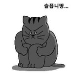 [댓글부탁해] 얘들아 나 내신 3~6등<b>급대</b>인데 정시할까
