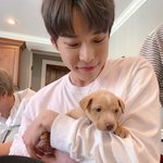 [NCT] 얘들아 ㅠㅠㅠㅠㅠㅠㅠ제발 둘어<b>와바</b>