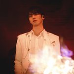 <b>홈마</b>사진만 봤을때 얘 어때보여