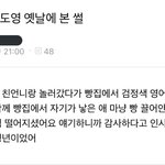 목격담마저 귀여운 아이돌