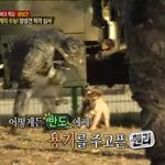 와 얘들아 진짜사나이 <b>헨리</b> 이거 봐바