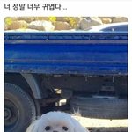 [댓글부탁해] 자기주관 <b>뚜렷</b>한거