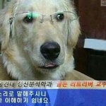 [댓글부탁해] 수학 <b>마더</b>텅 ㅂㄹ??