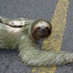 [<b>19</b>] 트친 만난<b>썰</b>