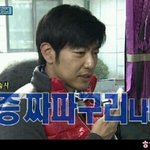 [댓글부탁해] 아이폰11,xr,se2 뭐 살까ㅠㅠ