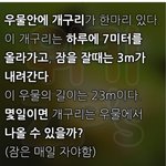 20초 안에 풀면 <b>아이큐</b> 125인문제